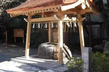 Purify your hands here