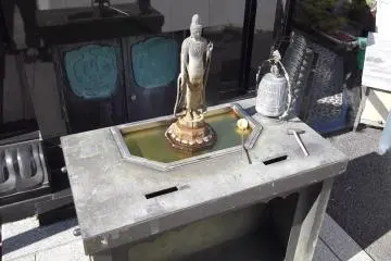 Purify your hands here