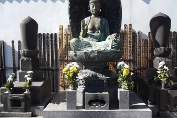 In the graveyard