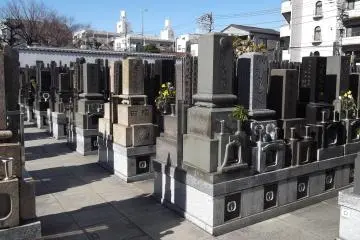 The graveyard