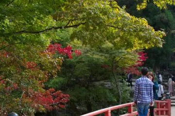 The short walk to the ropeway station is also very rewarding, as it leads through a beautiful park