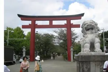 Gallery image