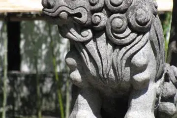 Very curly komainu of Asakusa, Tokyo