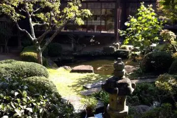 The beautiful courtyard garden