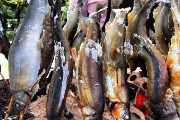 Ikan Ayu asin