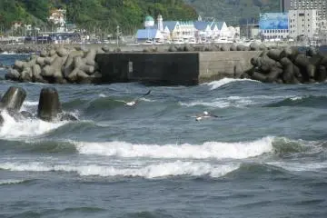 On a windy day