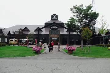 Pretty flowers and a gorgeous lawn await you at the winery