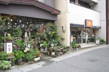 Charming shops line the streets