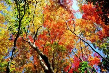 <p>Des couleurs partout!</p>