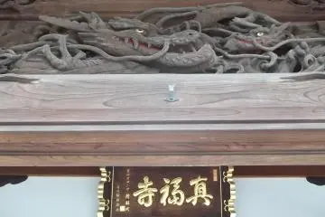 Parent and child dragons, I imagine
