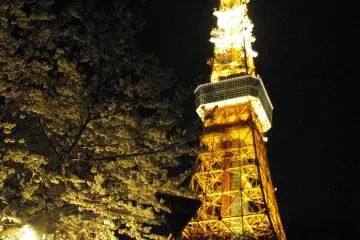 Tokyo Tower in April