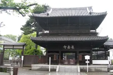 Gallery image