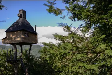 Activités Uniques à Faire à Suwa