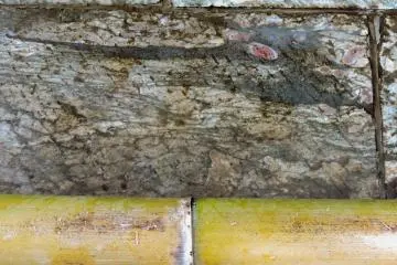 Can you see the dragon's head in the stone?