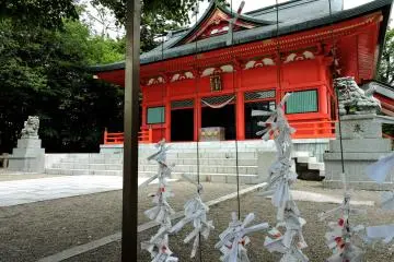 Gallery image