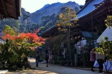 Daisho-in is a good place to experience the changing seasons