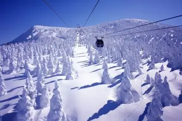 Snow monsters from Zao Ropeway