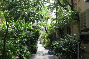 I enjoyed the greenery
