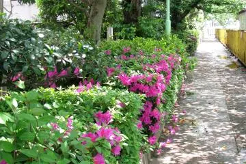 Beautiful enbankment