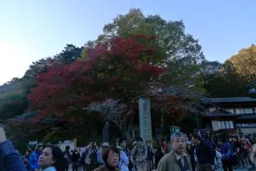Colors starting to change. Photo taken near the Chair lift and Cable car entrance