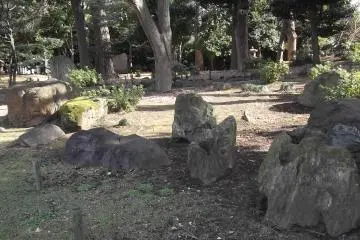 In the garden