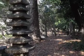 A pagoda among the trees
