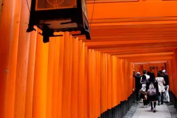 Lorong Torii di Fushimi Inari