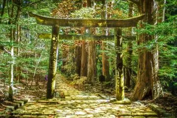 Undeameshi-no-tori: this gate has a special hole in the top middle column. In English its name literally means try your luck. If anyone can throw 3 stones through the top hole you are believed to receive good luck!