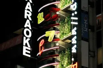 Les fameux Karaoke !
