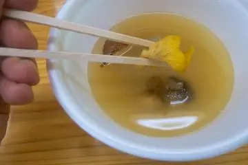 Miso soup with wild mushrooms offers a number of unique textures and flavors.