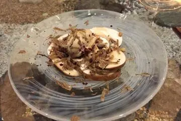 Tokachi mushroom salad