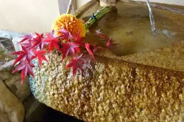 water fountain with autumn leaves (Photo: <a href="http://www.gethiroshima.com" target="_blank" rel="noreferrer noopener nofollow">gethiroshima.com</a>)