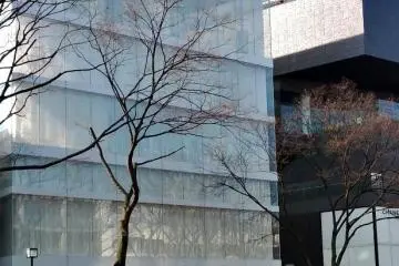 Gallery image