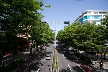 The wonderfully tree-lined Omotesando street (Photo: <a href="https://en.japantravel.com/profile/nicole-bauer/314" target="_blank" rel="noreferrer noopener nofollow">Nicole Bauer</a> / JT)