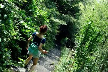 The way down