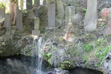 A pond and stones in the entrance