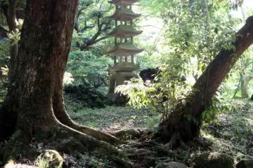 Spacious garden has many beautiful corners