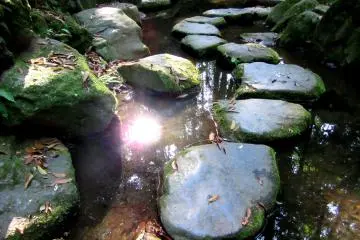 You can take stone paths as well