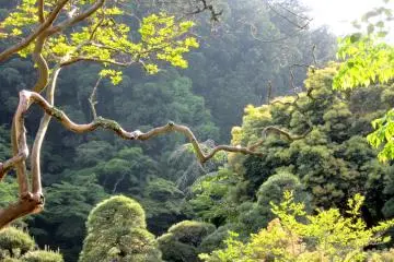 I really admire this view!