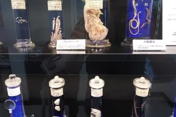 Pameran