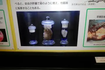 Pameran
