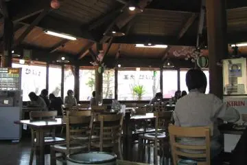 Special Daio wasabi farm cafe