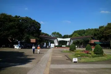 Showa Memorial Park