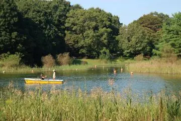Row boats can be rented!