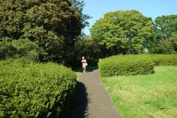 Lots of greenery around