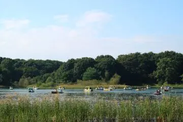 Looking out at the paddle and row boats available for hire