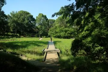 Different types of paths are available depending on which area you visit