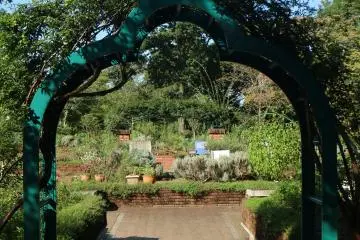 Flower garden