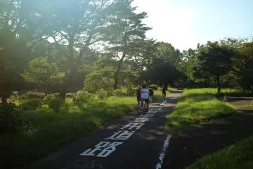 Bicycles are available for hire. Visitors are only allowed to cycle on the dedicated cycling tracks.