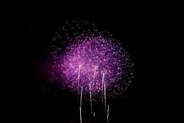 Fireworks resembling daffodils